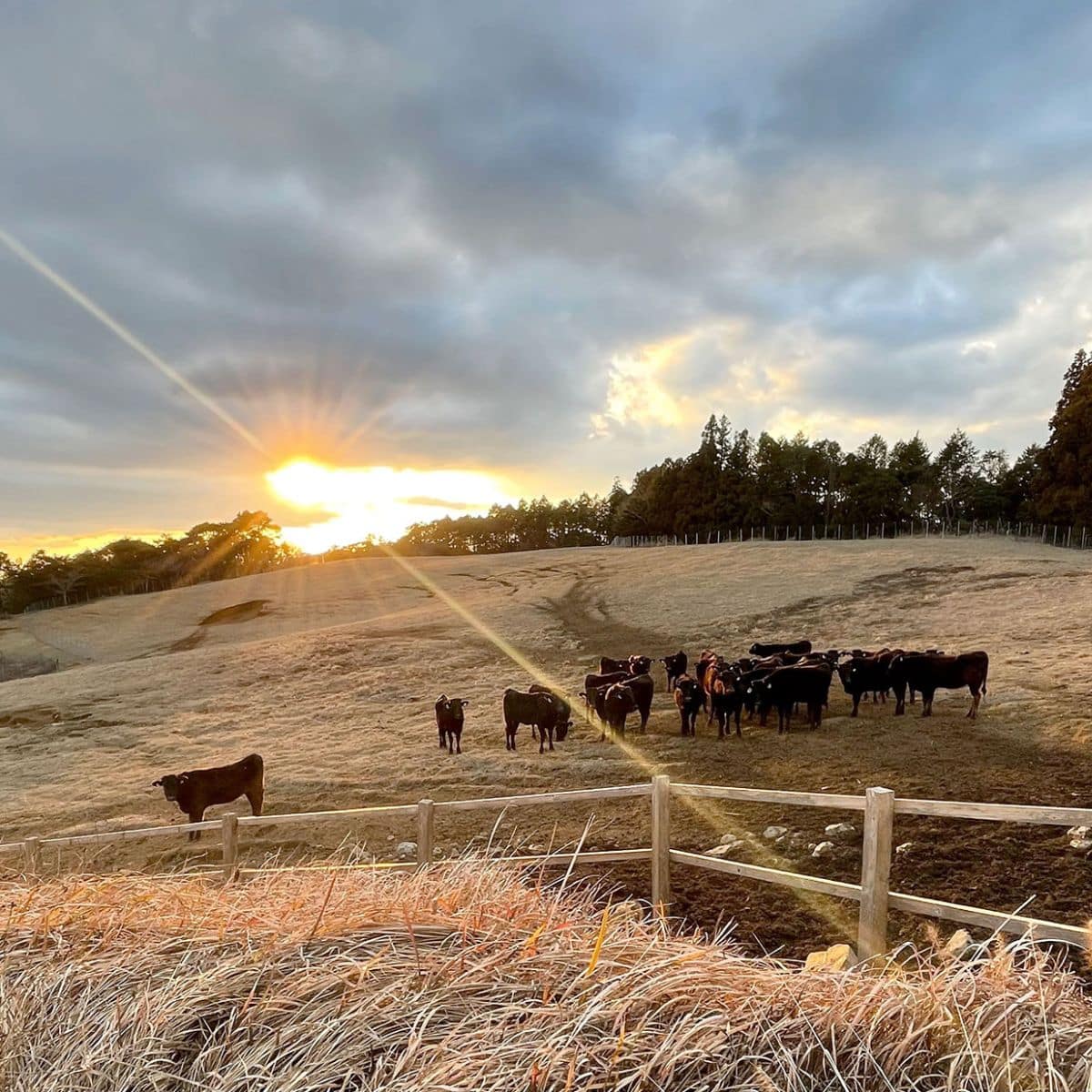 Wagyu Abend mit Arita Farms und Ryo Yamaguchi, 9. Juli 2026