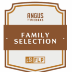 SONDERAKTION: Las Piedras Family Selection Uruguay Rumpsteak am Stück ca. 2,5 kg, Ansicht 2