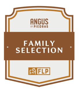 SONDERAKTION: Las Piedras Family Selection Uruguay Rumpsteak am Stück ca. 2,5 kg, Ansicht 2